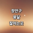 수원-0363 | 수원 장안구 근처 화물용달 추천 용달이사 전문업체...소형 가격 퀵서비스 다마스 대여 렌트 후기 대형