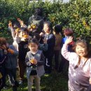 서귀북초등학교 병설유치원 이미지