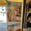 [MEGA COFFEE] 메가커피 여름 신상 메뉴 컵빙수 말차 젤라또 팥빙 파르페 후기(+ 엠지씨네 통소시지...