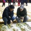 9월 10일, 참조기, 민어, 먹갈치, 파갈치, 병어, 낙지, 민어 전감, 서대, 잡어, 장어, 백조기, 간재미, 삼치, 복어, 암대하 이미지