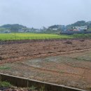 신성리보건진료소 이미지