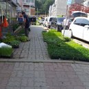 진명서점 이미지