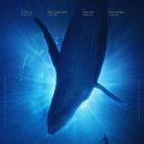 고래와 | 🐋 넷플릭스 다큐 《고래와 나》 후기 (스포 약간 있음)