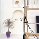 누아(nuah) 이미지