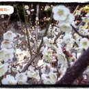 양화농장 이미지