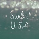 8월 2일 일요일(음6.20) Surfing USA - The Beach Boys 이미지