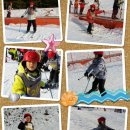 용인대석사체육관 이미지