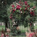 뮤즈헤어갤러리 | 웨딩 기록 ) 더라움 폰드가든 저녁예식 뒷북 후기 ② - 본식 당일 상세 후기