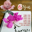 우초