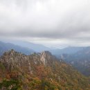 마노아(MANOAH) 이미지