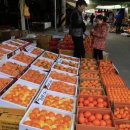 세화신발