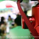 일영나들이 이미지