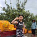 인우농장 이미지