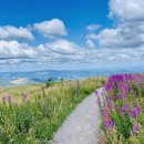 느린하루 이미지