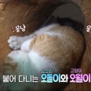 미옥농장 이미지