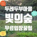 두레두부마을 - 통영시 | 여행 꿀팁] 빛의 숲 ‘무료 입장’하는 진짜 방법! 두레두부마을 식사 루트 — 여행아빠J 직접 다녀온 후기