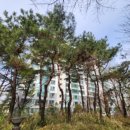 당촌초교 옆 이미지