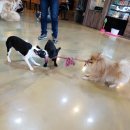 포포앤미루 강동점 이미지