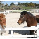 더마파크 공연장 이미지