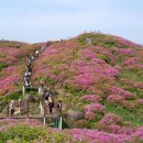 금강약국 앞 이미지