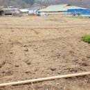 웃말농장 이미지