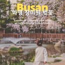 장미원내부 | 화명동 장미원 수양벚꽃 명소 어린이 놀이터 주차장