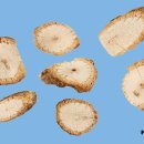 대한약업사 이미지