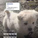 복복 네이버블로그