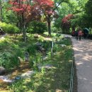 남산공원길1 이미지