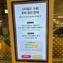 랜드피시 | [수원 스타필드] 평일 오픈런 후기(사람없었음) -명품샵,무신사,런던베이글,흡연실,주차요금