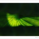 똘레랑스 이미지