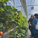 향교농장 이미지