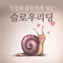 천천히, 함께, 슬로우리딩 이미지