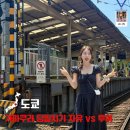 (주)스카이투어관광 | 일본 도쿄 근교 가마쿠라 여행 후기 ｜당일치기 기차 vs 투어 비교