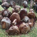 한돌농장 이미지