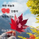 10월29일 고발뉴스 이미지