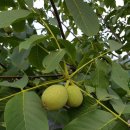 상미농장 이미지