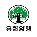 77양행