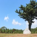 빌렛동산 이미지