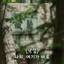 중드일기_도화영강산_29-32화_단 한 장면 때문에 쓰는 후기