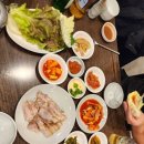 능동국시 이미지