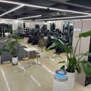 휘트니스 와이 이미지