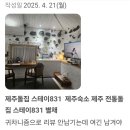 스테이 831 이미지