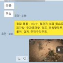 노스링 - 치어리더팀 (청상어단) 피아식별 불가 연합운영진 개xx 만들다 이미지