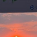 개. 이쁜날 이미지