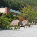 솔향가득서울캠핑장 이미지