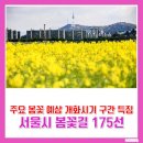 도구머리근린공원 입구 | 서울 봄꽃길 175선 주요 봄꽃 예상 개화시기 총구간 길이 봄꽃길 특징