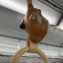 사르르스위티샵 | 오사카여행기 2 _ USJ