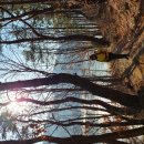 선기로2-7 이미지