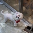 견사무소 호텔 유치원 이미지